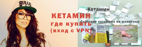 прущие грибы Каменка