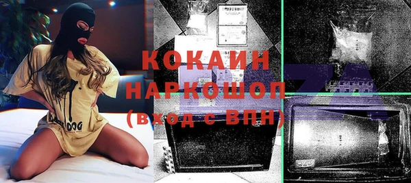 прущие грибы Каменка