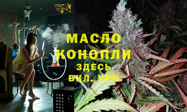 прущие грибы Каменка