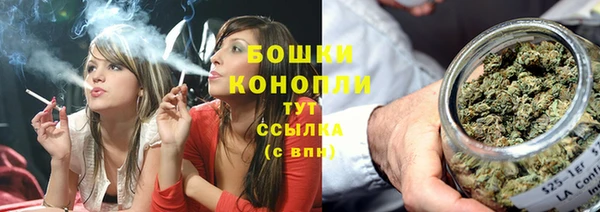прущие грибы Каменка