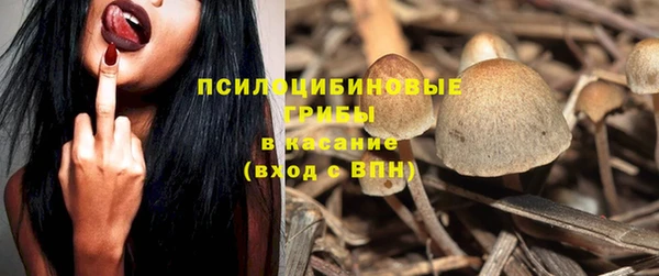 прущие грибы Каменка