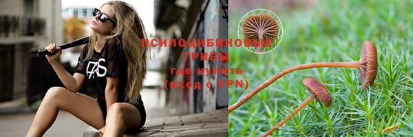 прущие грибы Каменка